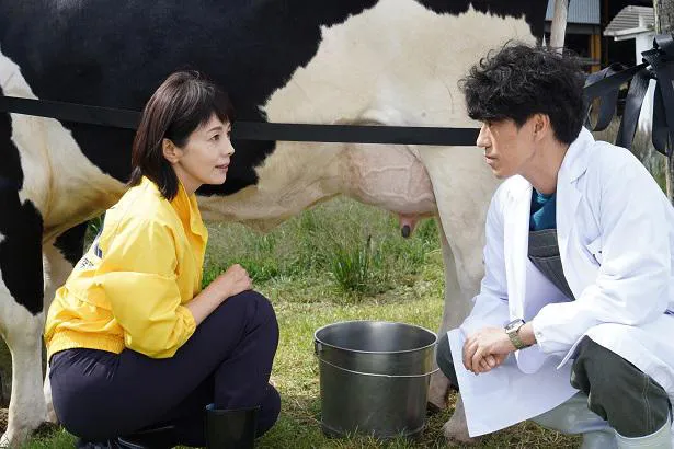 沢口靖子が 科捜研の女 で人生初の牛の乳しぼりを披露 2 2 芸能ニュースならザテレビジョン