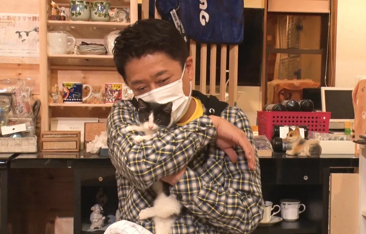 【写真を見る】子猫をいとおしそうに抱き締める坂上忍