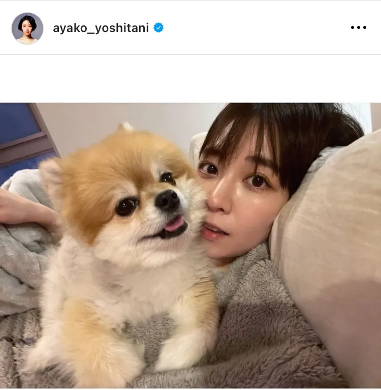 ※画像は吉谷彩子(ayako_yoshitani)オフィシャルInstagramのスクリーンショット