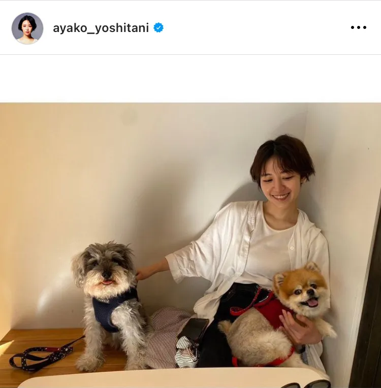 ※画像は吉谷彩子(ayako_yoshitani)オフィシャルInstagramのスクリーンショット