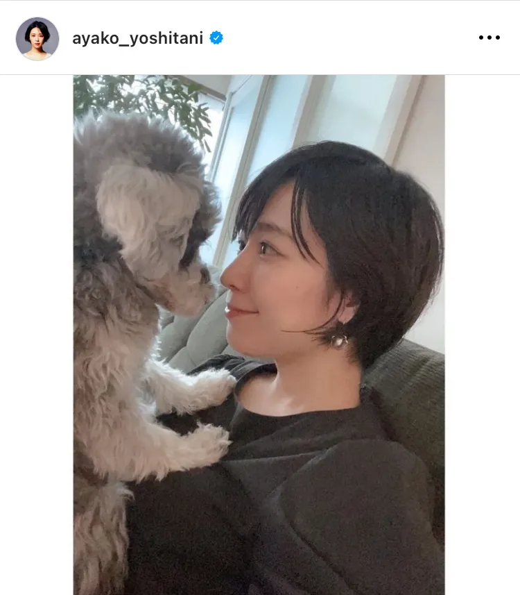 ※画像は吉谷彩子(ayako_yoshitani)オフィシャルInstagramのスクリーンショット