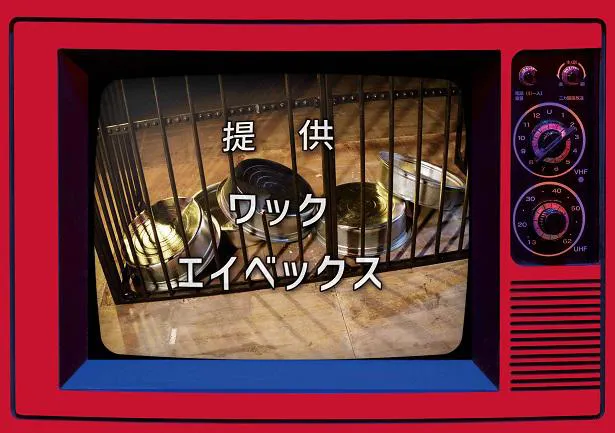 【写真を見る】豆柴の大群の1st Album『まめジャー！』初回生産限定盤ジャケット
