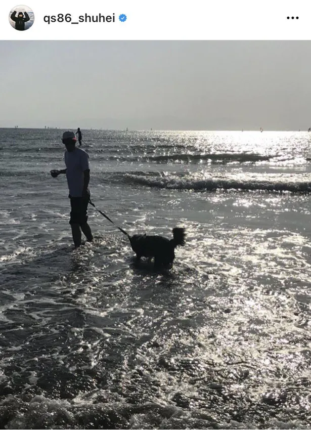 野村周平 愛犬とのスノボ姿にファン絶賛 世界で1番かっこいい うますぎて惚れる 画像15 16 芸能ニュースならザテレビジョン