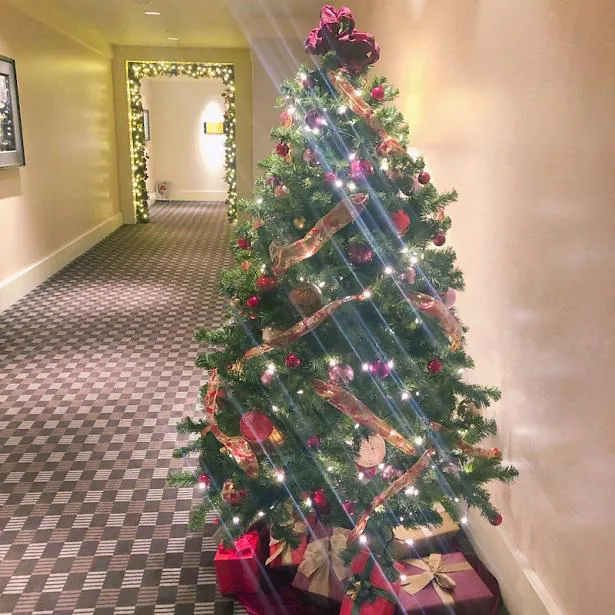 【写真を見る】「来年から、サンタクロースの役割を担うなんてね」と、平野ノラがクリスマスツリーの写真を公開