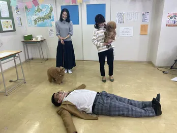 ミキ・亜生が推す”動物バズリ動画”で話題のトイ・プードル…真逆な2匹の奇跡的2ショットとは?<知らなくて委員会>