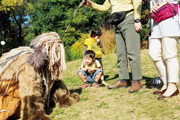 クリエイターズ ファイル 67 世界一クリエイティブな大型犬 ロルフくん 6歳 2 3 Webザテレビジョン