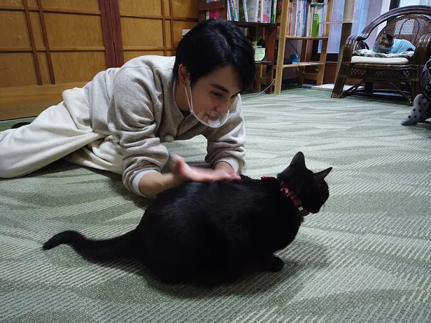 【写真を見る】中村蒼、紅白出演に歓喜！猫と戯れるほっこりSHOT公開