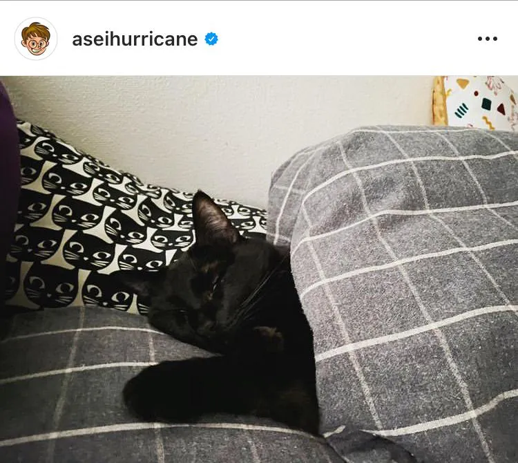 黒猫・銀次郎の、まるで人間のような寝姿