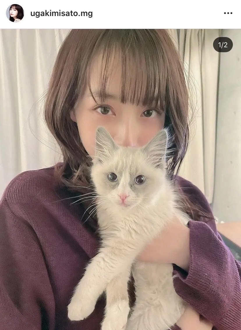 【写真を見る】宇垣美里、猫と一緒のもふもふSHOT