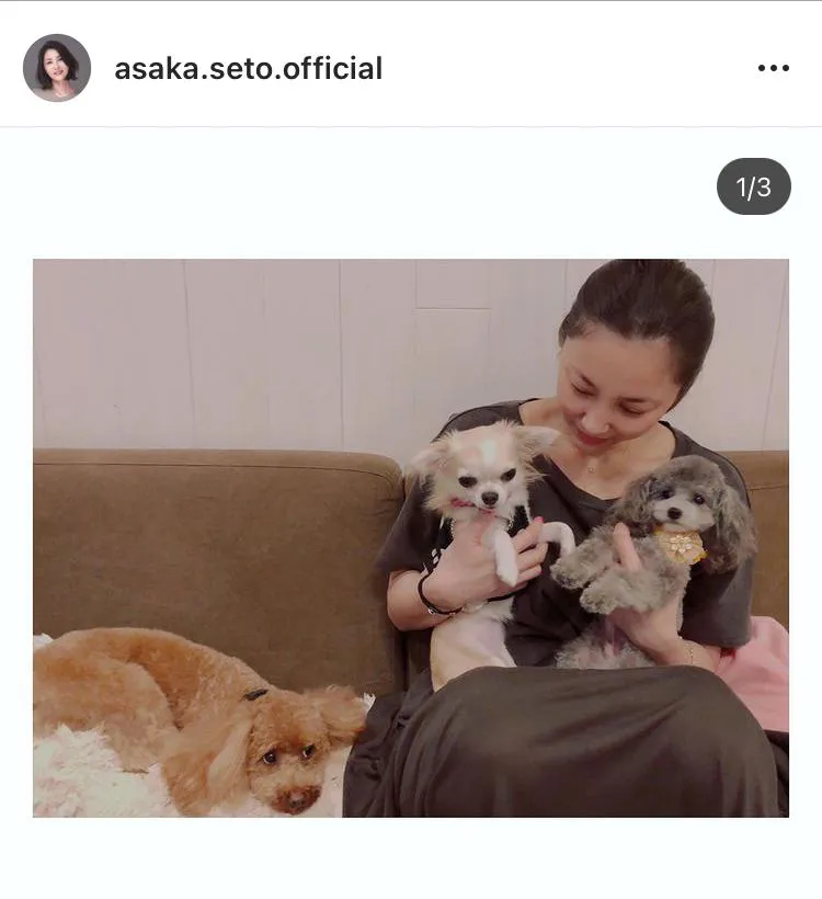 ※瀬戸朝香公式Instagram(asaka.seto.official)より