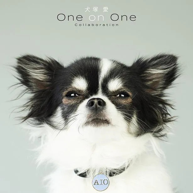 【写真を見る】大塚愛リメイクアルバム『犬塚愛 One on One Collaboration』ジャケット