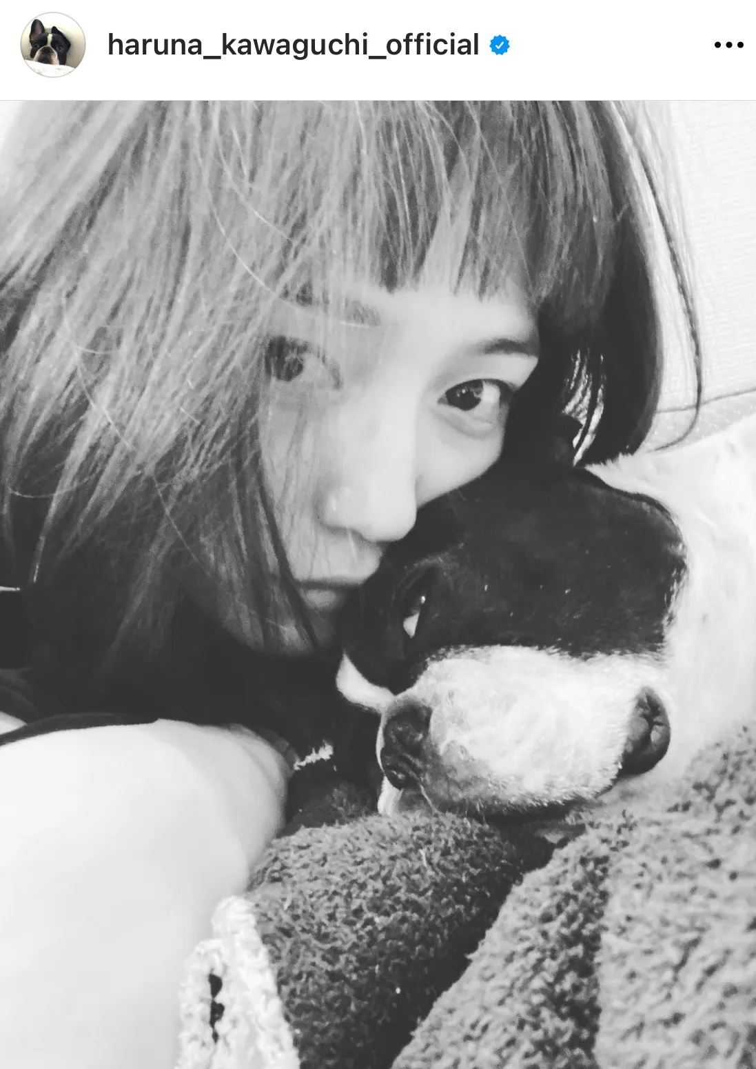 【写真を見る】川口春奈、ボサ髪でリラックス…！愛犬とのまったりSHOT(その他、ミニスカやキャミソール姿など7枚)
