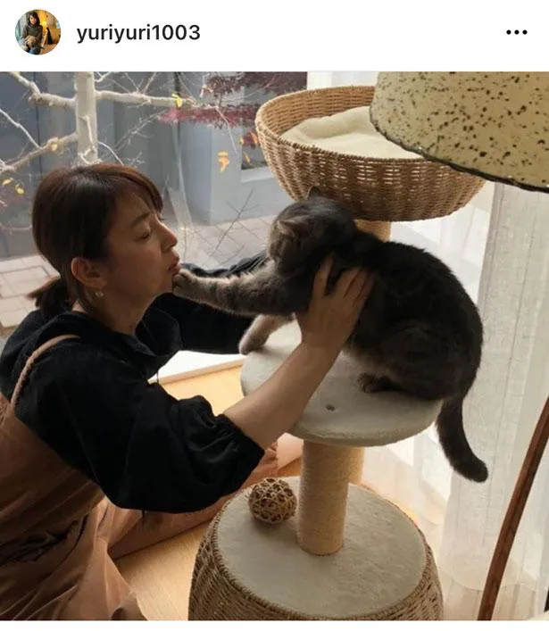 ネコに手を伸ばす石田ゆり子と距離を置こうとするネコ