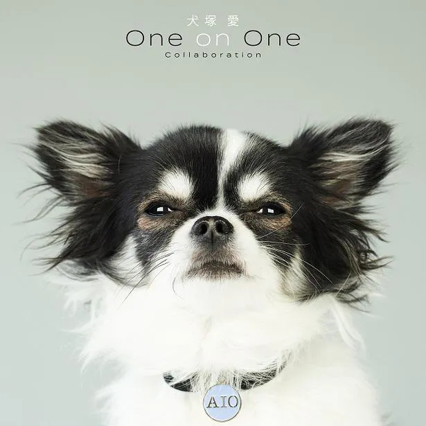 【写真を見る】大塚愛のリメイクアルバム『犬塚愛 One on One Collaboration』ジャケット