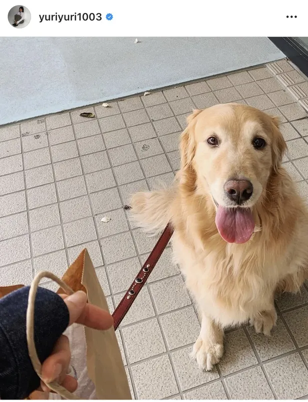 石田ゆり子の愛犬 雪ちゃん 幸せそうな寝顔にファンもほっこり 見ているこちらも幸せ 画像6 11 芸能ニュースならザテレビジョン