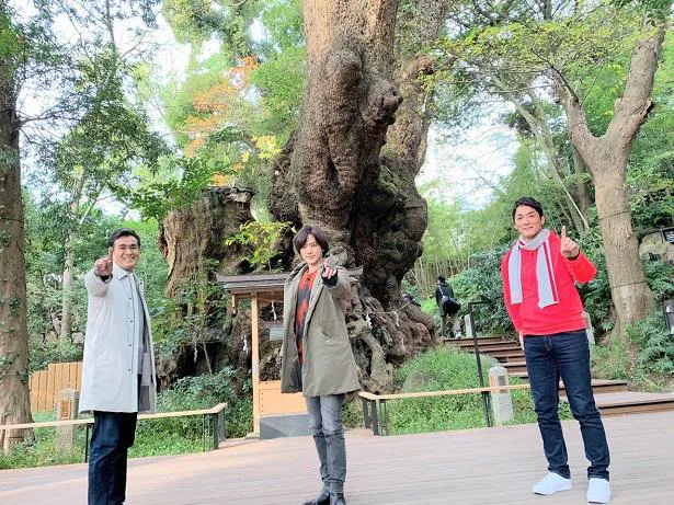 【写真を見る】縁結びで有名な「來宮神社」を訪れるDAIGOら