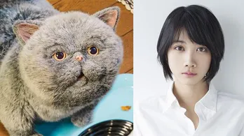 松本穂香、「おじさまと猫」でふくまる(神木隆之介)そっくりなメス猫・マリン役に