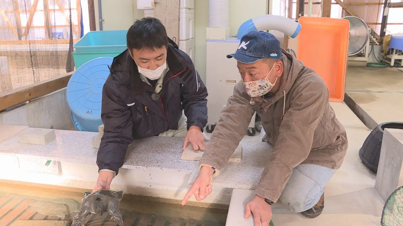 怪しむ西村を施設の中に案内すると、そこにはあの高級食材が