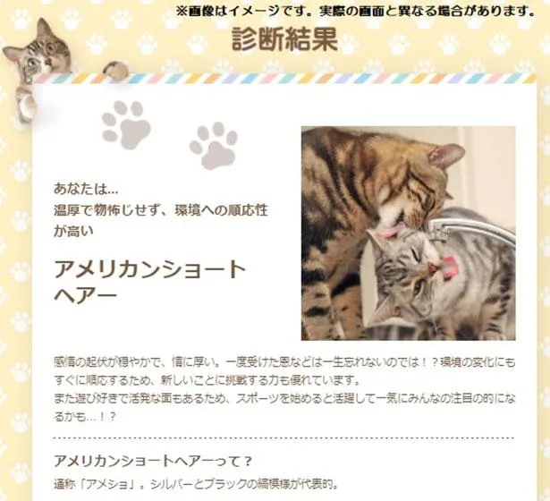 誰でも無料で楽しめるWEBコンテンツ「あなたが猫ならどんな猫？ 猫診断キャンペーン」