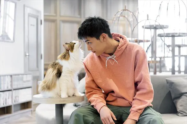 人生初の猫カフェを訪れた中川大志。すっかり猫の虜に…
