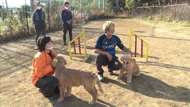 「企業対決警察犬」の様子