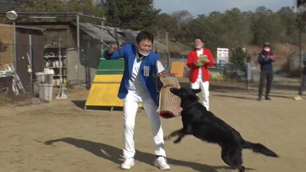 「企業対決警察犬」の様子