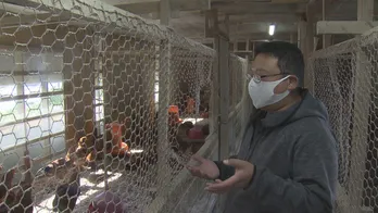 対馬地鶏復活プロジェクトの切り札は究極の親子丼<世界一の九州が始まる!>