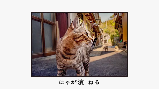 福山雅治 仲里依紗 長濱ねるらが猫に 地元 長崎を にゃんとかせんば 画像6 15 芸能ニュースならザテレビジョン