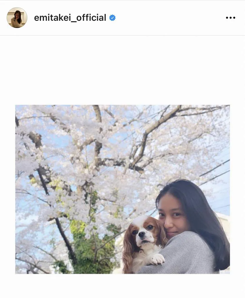 【写真を見る】美しく咲く桜と武井咲＆愛犬の“絵になる”SHOT