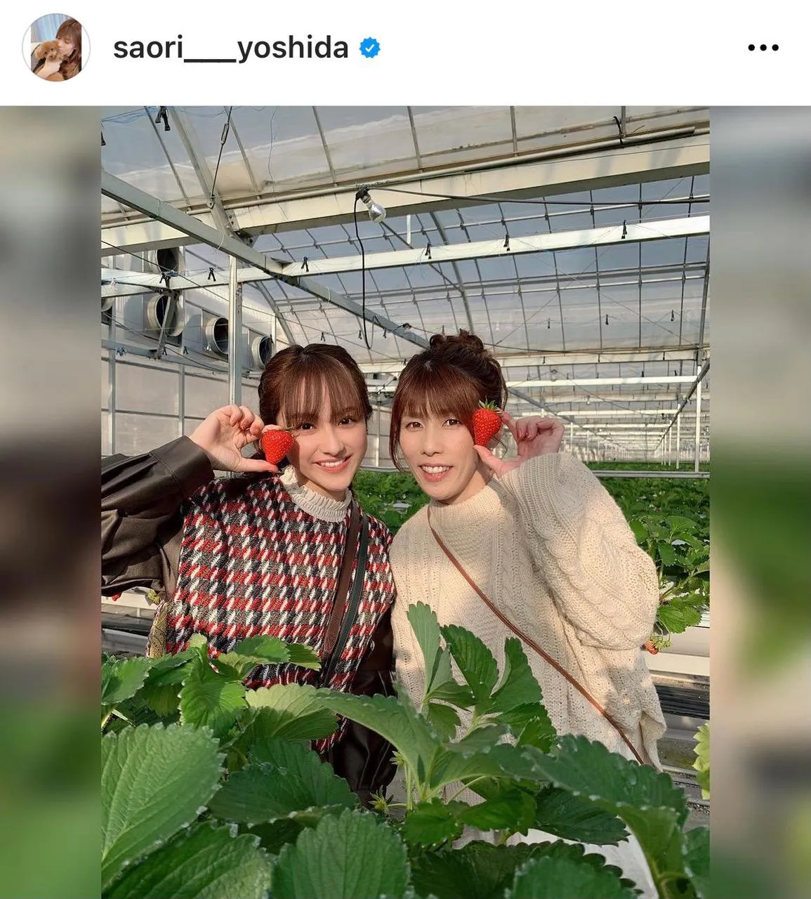 ※吉田沙保里公式Instagram( saori___yoshida)より