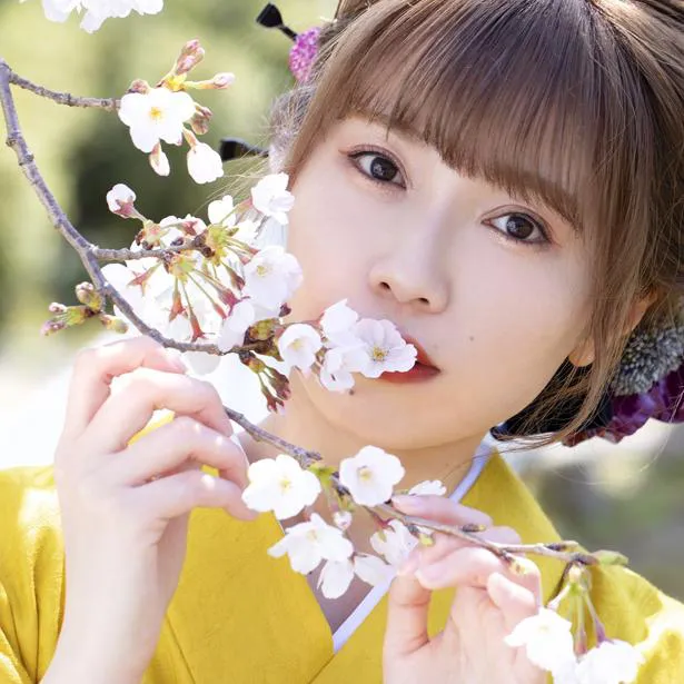 Singing Cosplayer Hikariが、初音ミク「夢と葉桜」のカバー動画を公開した