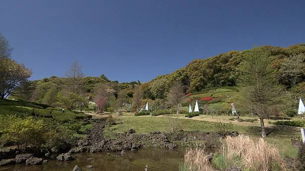 画像 氷川きよし 淡路島を巡り 穏やかな春風を感じながら熱唱 旅サラダ 5 34 Webザテレビジョン