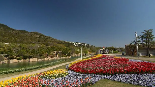 明石海峡公園の花々