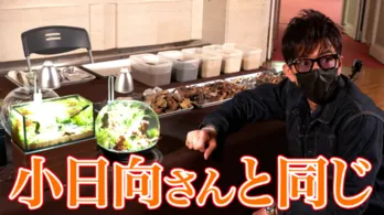 木村拓哉、アクアリウムに夢中！　メダカをくれた小日向文世にも感謝！