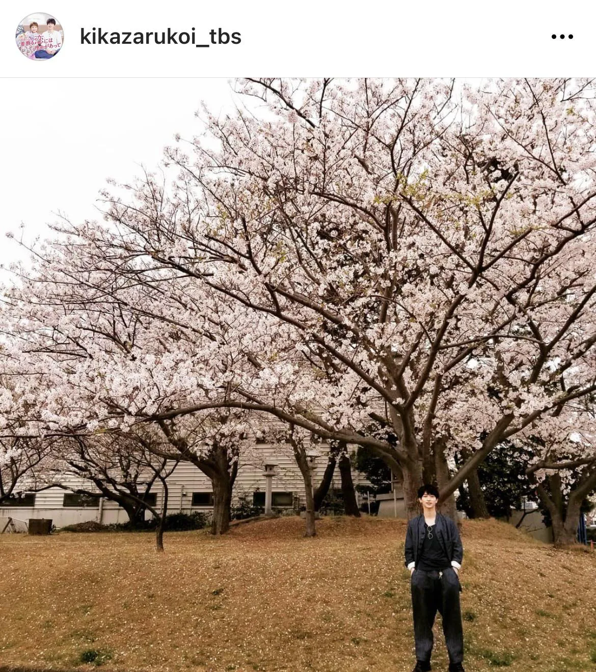 桜の樹の下にたたずむ横浜流星