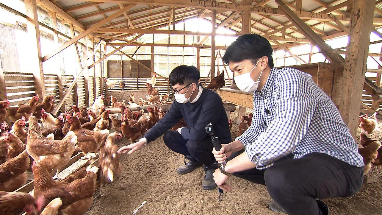 【写真を見る】馬場裕之と櫻井アナが養鶏場を訪れる