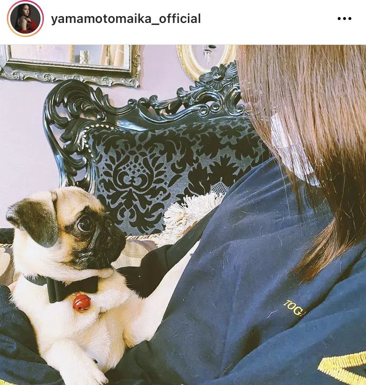 ※山本舞香公式Instagram(yamamotomaika_official)より