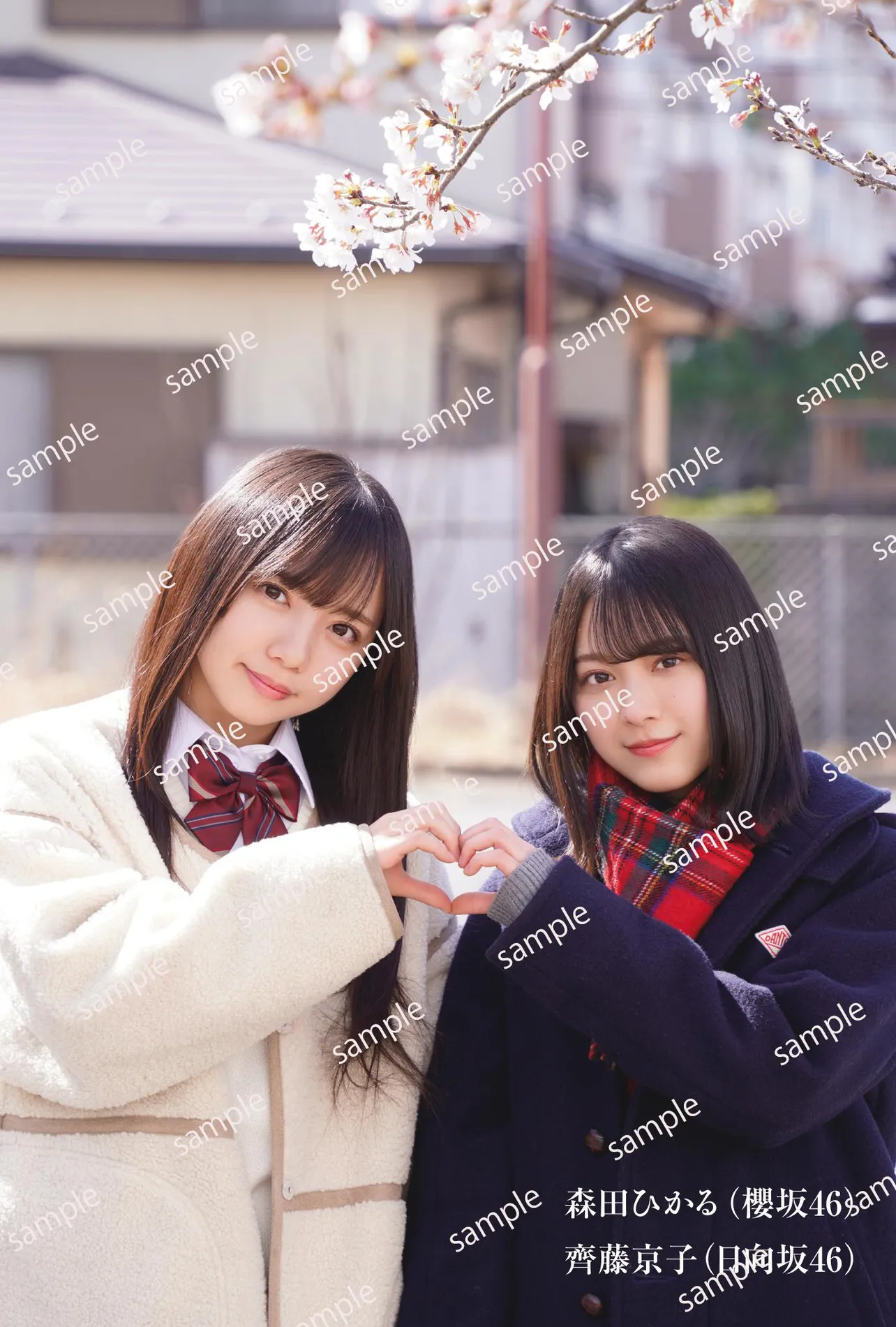 画像・写真 齊藤京子＆森田ひかるに渡邉理佐＆濱岸ひより…乃木坂46×櫻