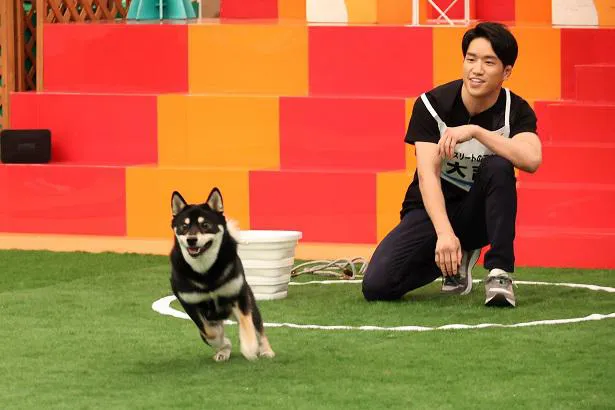 【写真を見る】総合格闘家の朝倉海、愛犬・大吉と共に「犬王」の称号獲得を目指す