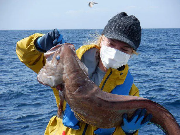 お魚王子・鈴木香里武が「深海WANTED7」ヨコヅナイワシ捕獲の奇跡を解説！