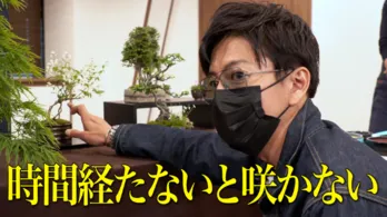 木村拓哉、“モダン盆栽”に挑戦。父親との盆栽の思い出も明かす!