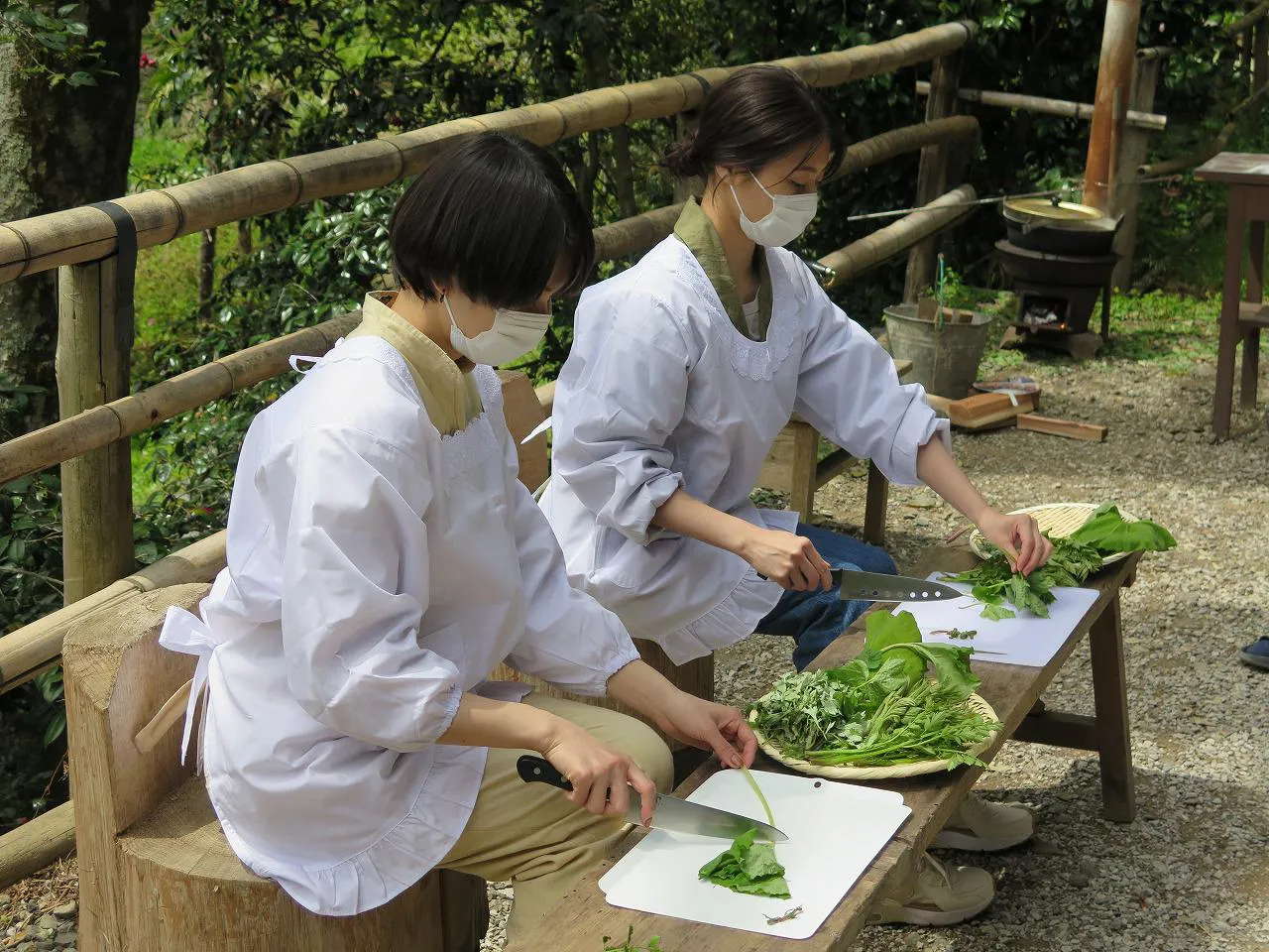 採った山菜を調理する二階堂ふみ、有村架純