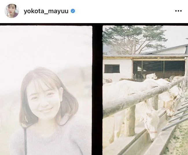 ※画像は横田真悠オフィシャルInstagram(yokota_mayuu)のスクリーンショット