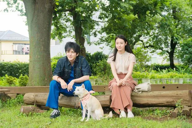 映画「犬部！」場面写真