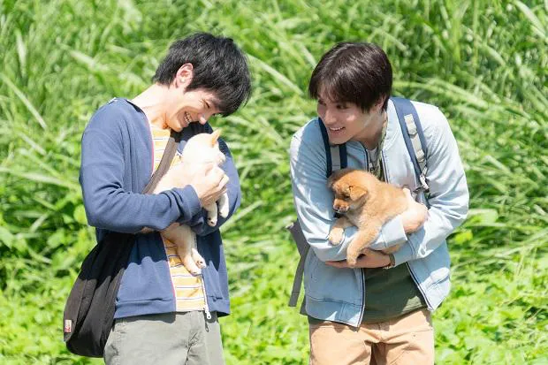 映画「犬部！」の新たな場面写真が公開された