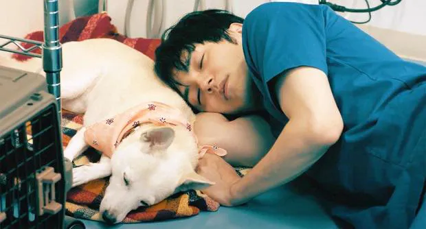 【写真を見る】愛犬・花子に寄り添って眠る林遣都“楓太”の寝顔