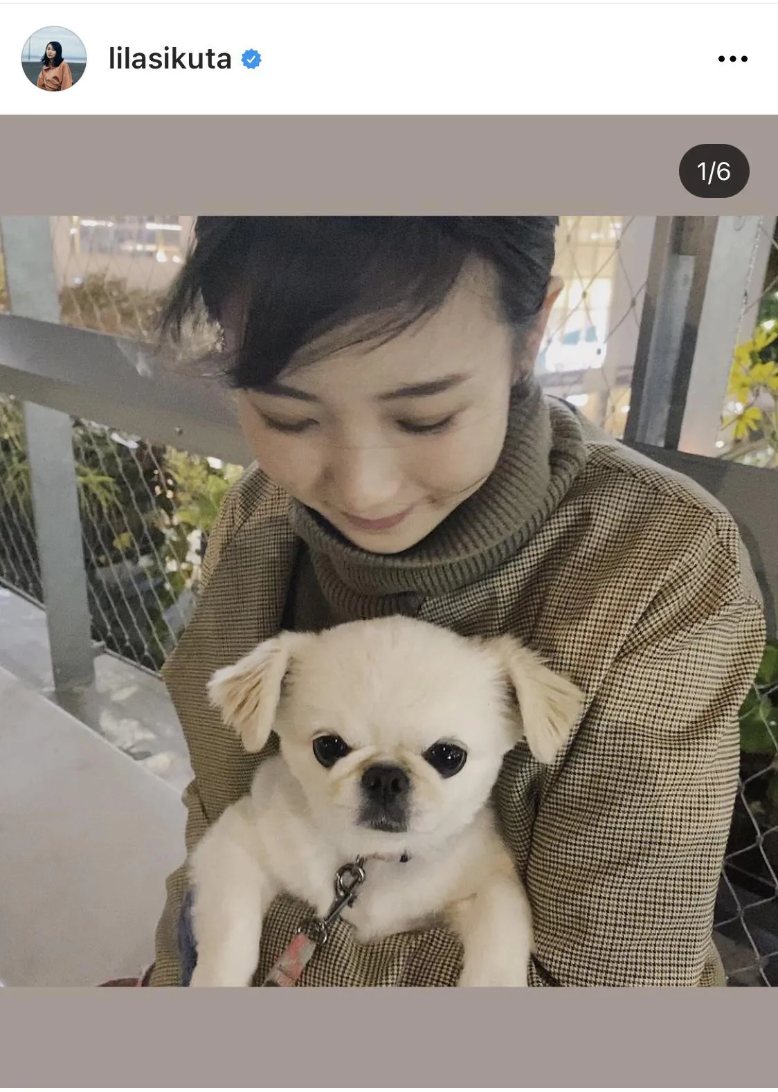 【写真を見る】幾田りらとSNSで話題のバズり犬“おもちくん”の2SHOT