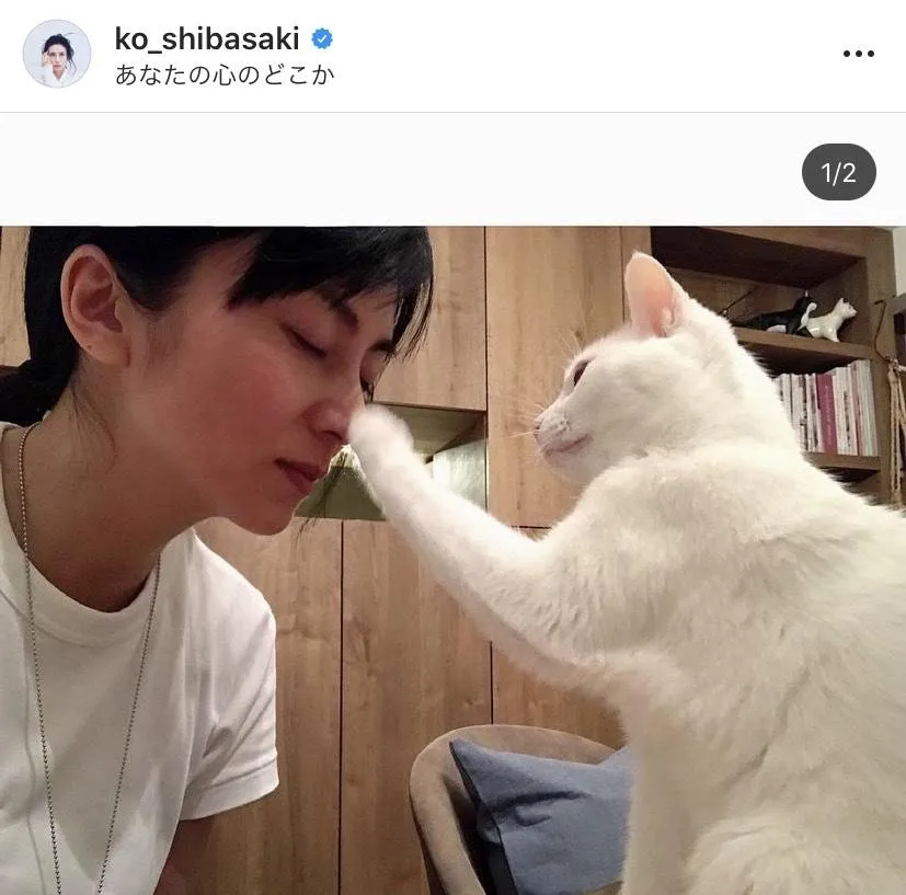 【写真を見る】柴咲コウ、愛猫のえるちゃんとの癒しSHOT