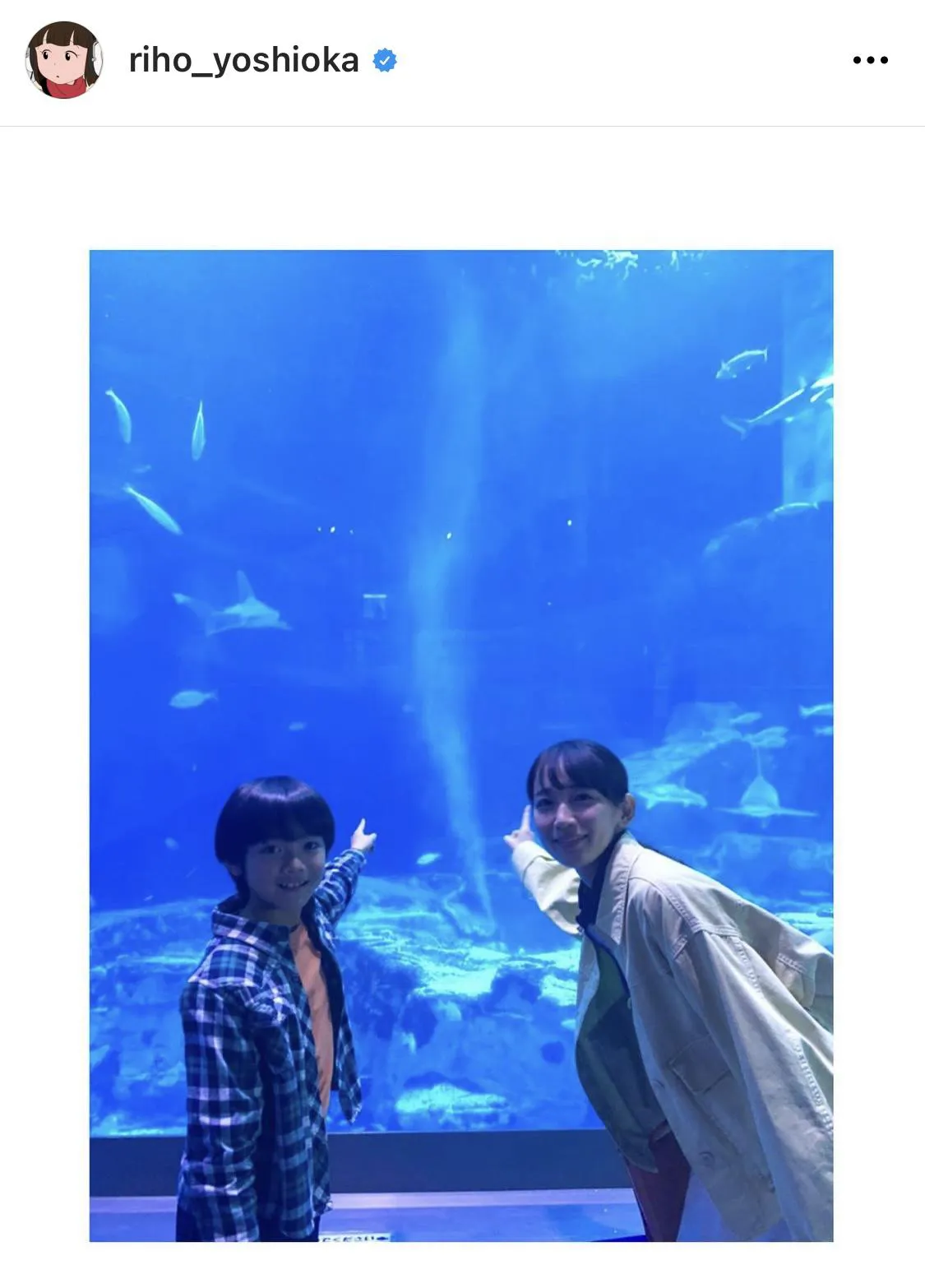 ※画像は吉岡里帆公式Instagram(riho_yoshioka)より