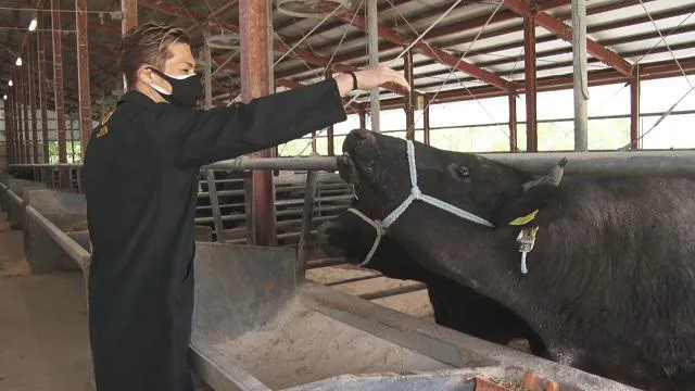 【写真を見る】EXILE SHOKICHIが和牛の生産者に弟子入り